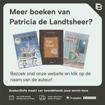 Heikje heks en de wonderviool - Patricia de Landtsheer, Verzenden, Zo goed als nieuw, Patricia de Landtsheer