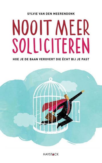 Nooit meer solliciteren 9789461261717, Verzenden, Zo goed als nieuw, Sylvie van den Meerendonk