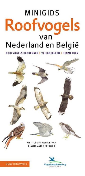 Set Minigids Roofvogels Van Nederland En Belgie | Nieuw, Ophalen of Verzenden, Nieuw, Jip Louwe Kooijmans