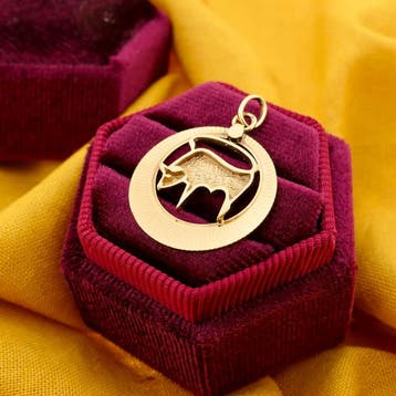 Gouden sterrenbeeld hanger; Stier (Hanger of bedel), Ophalen of Verzenden, Gebruikt, Goud, Overige merken