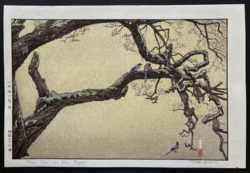 Jyuzu kake no Ume (Plum Tree & Blue Magpie) - Toshi