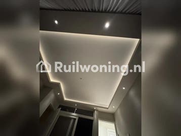 Ruime flat in Zoetermeer, Rijswijk of Den Haag gezocht, Huizen en Kamers, Den Haag