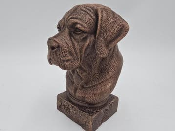 Bust of a Cane corso long ears dog statue - home decor dog l, Verzenden, Nieuw