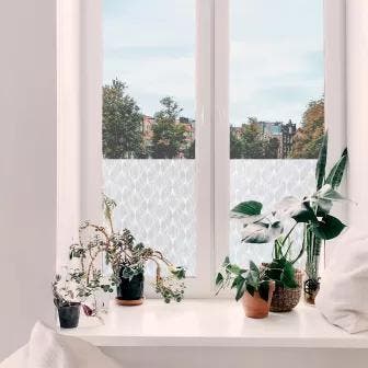 OPRUIMING Hele rol premium statische raamfolie 50% korting, Doe-het-zelf en Verbouw, Glas en Ramen, Nieuw