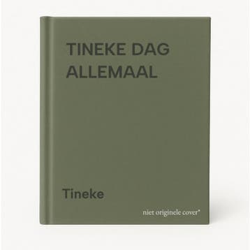 TINEKE DAG ALLEMAAL - Tineke 9789062917839, Verzenden, Zo goed als nieuw, Tineke