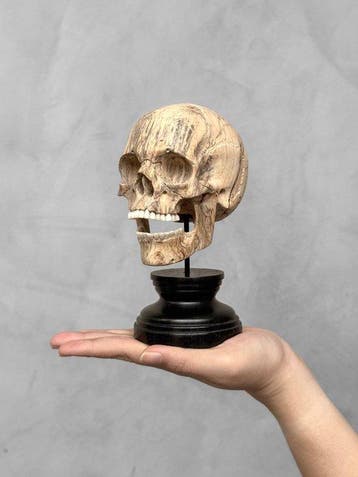 Snijwerk, NO RESERVE PRICE - Stunning Wooden Human Skull