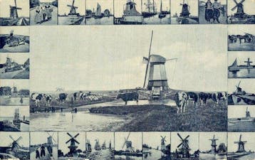 Molens - Ansichtkaart (112) - 1900-1999, Gelopen