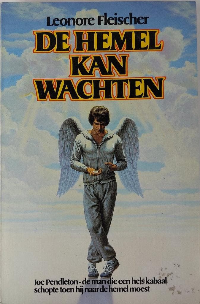 De Hemel kan Wachten 9789022918401 Fleischer, Boeken, Overige Boeken, Gelezen, Verzenden