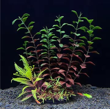 Aquarium Kunstplant Realistische Onderwater Decoratie, Verzenden, Nieuw
