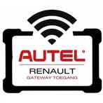 Dacia/Renault Security Gateway tokens 10, Verzenden, Nieuw