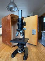 Monocular compound microscope - will-optik - 1960-1970 -