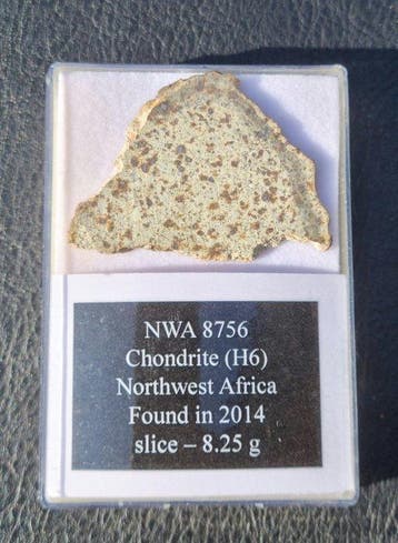 NWA 8756 (H6 S1 W3) - 8.15 g