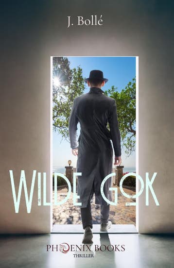 Wilde Gok - Johnny Bollé 9789083140469, Boeken, Verzenden, Gelezen, Johnny Bollé