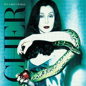 lp nieuw - Cher - Its a mans world, Verzenden, Zo goed als nieuw, Overige formaten