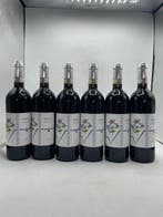2021 Voerzio Martini - Barolo DOCG - 6 Flessen (0.75 liter), Nieuw