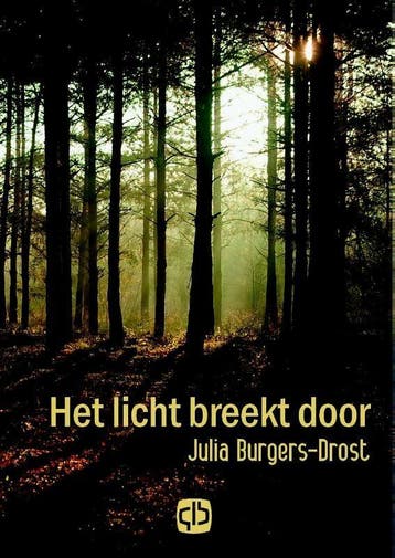 Het licht breekt door 9789036429566 Julia Burgers-Drost, Verzenden, Gelezen, Julia Burgers-Drost