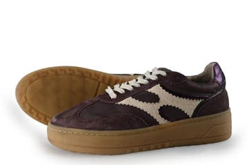 Notre-V Sneakers in maat 39 Paars, Notre-V, Overige kleuren, Verzenden, Sneakers of Gympen