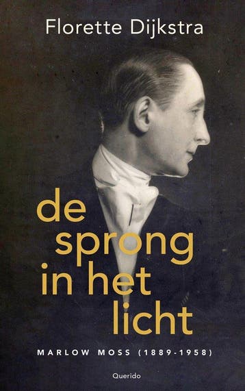 9789021476773 De sprong in het licht Florette Dijkstra, Boeken, Verzenden, Nieuw, Florette Dijkstra