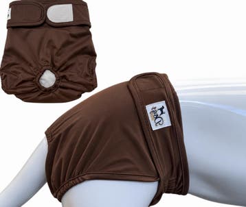 Loopsheidbroekje Choco Bruin - Diverse maten (Hondenkleding), Ophalen of Verzenden, Nieuw, Hondenbroek