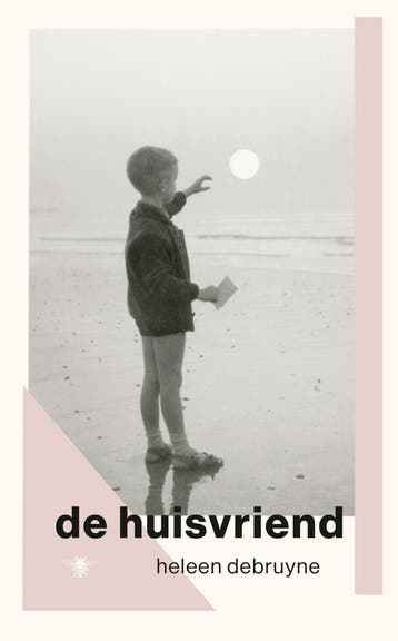 De huisvriend (9789403134710, Heleen Debruyne), Verzenden, Nieuw