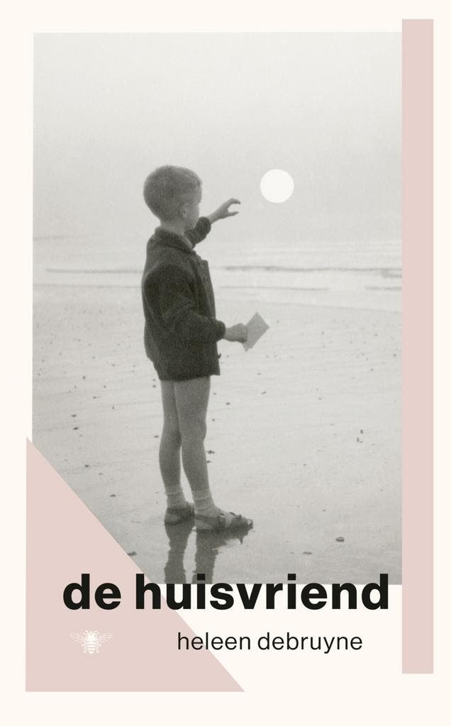 De huisvriend (9789403134710, Heleen Debruyne), Boeken, Romans, Nieuw, Verzenden