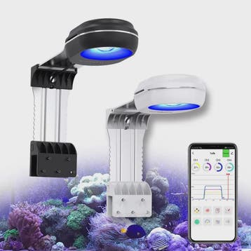 PopBloom RL60 WiFi Full Spectrum LED Aquariumlamp voor Zoutw, Verzenden, Nieuw