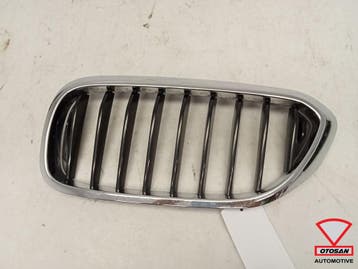 BMW 5 Serie G30 G31 Grille Nieren Links 51137473700, Auto-onderdelen, Carrosserie en Plaatwerk, Ophalen, Gebruikt, Links, BMW