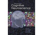 Boek Principles of Cognitive Neuroscience 9780878935734, Boeken, Verzenden, Zo goed als nieuw