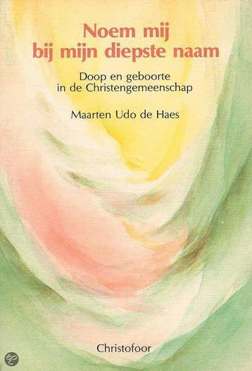 NOEM MIJ BIJ MIJN DIEPSTE NAAM - M. Udo de Haes, Verzenden, Zo goed als nieuw, M. Udo de Haes