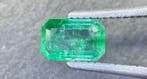 Groen Smaragd - 1.11 ct - Antwerp Laboratory for Gemstone, Nieuw