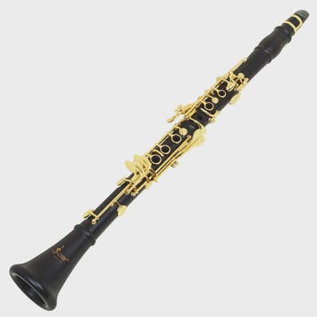 SLADE LDC960 Bb Klarinet - 17 Toetsen, Ebbenhout Body, Vergu, Muziek en Instrumenten, Verzenden, Nieuw