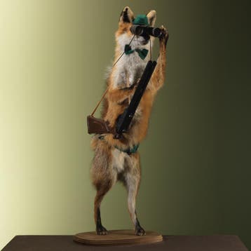 Vos Jager Taxidermie Opgezette Dieren By Max, Ophalen of Verzenden, Nieuw, Wild dier, Opgezet dier