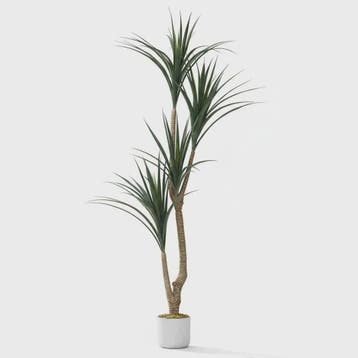 Realistische Kunst Dracaena Marginata Boom - 165cm Hoge Kuns, Huis en Inrichting, Verzenden