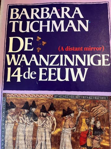 De waanzinnige 14e eeuw - Barbara Tuchman 9789010042378, Verzenden, Gelezen, Barbara Tuchman