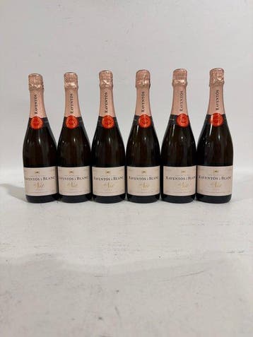2024 Raventós i Blanc, de Nit - Penedes Rosé - 6 Flessen, Nieuw