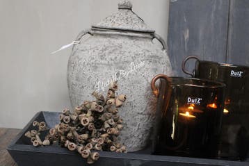 Bosje gedroogde Euca berries naturel, Ophalen of Verzenden, Nieuw