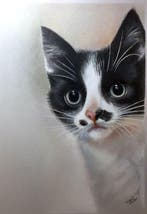 Yevhen Karpenko - Cat