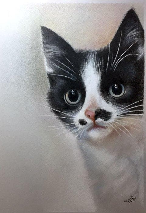Yevhen Karpenko - Cat, Antiek en Kunst, Kunst | Designobjecten