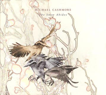 cd - Michael Cashmore - The Snow Abides, Verzenden, Zo goed als nieuw