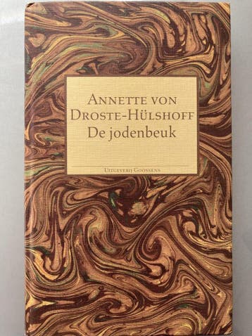 Jodenbeuk - Droste Hulshoff 9789065511577, Boeken, Verzenden, Gelezen, Droste Hulshoff
