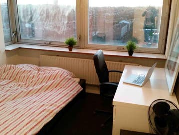 Kamer te huur in Delft - 11 m² - 1 kamer(s), Huizen en Kamers, Kamers te huur, Delft