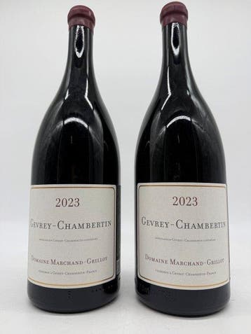 2023 Domaine Marchand-Grillot - Gevrey Chambertin - 2, Verzamelen, Nieuw
