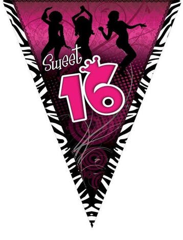Vlaggenlijn Sweet 16 Roze - 5m, Ophalen of Verzenden, Nieuw