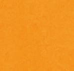 Forbo Marmoleum Fresco 3262 marigold, Verzenden, Nieuw