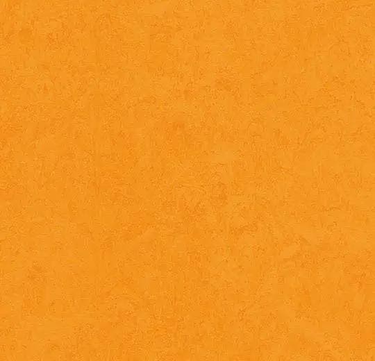 Forbo Marmoleum Fresco 3262 marigold, Huis en Inrichting, Stoffering | Vloerbedekking, Verzenden