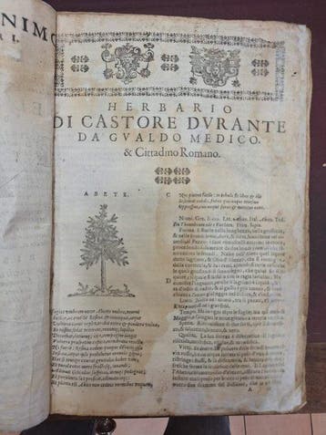 Castore Durante - Herbario di Castore Durante - 1617