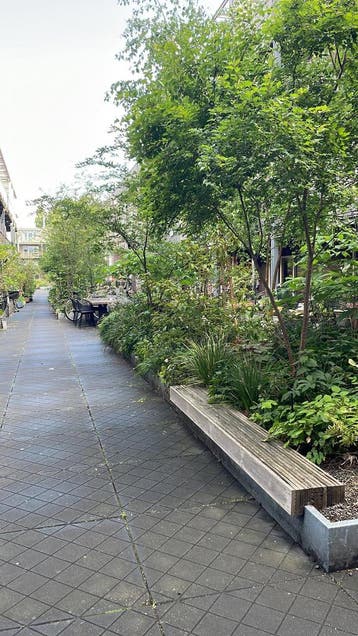 Te huur: Appartement Bos en Lommerplein in Amsterdam, Noord-Holland, Appartement, Amsterdam