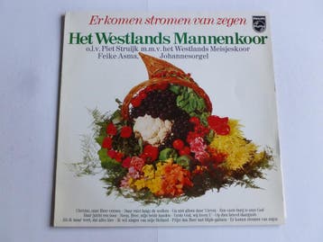 Er komen stromen van zegen - Het Westlands Mannenkoor, Feike, Cd's en Dvd's, Ophalen of Verzenden, Zo goed als nieuw