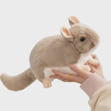 Kawaii Chinchilla Pluche Knuffel - 40cm Zachte Levensechte S, Verzenden, Nieuw