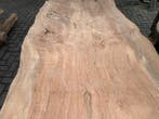 Zeldzame formaat boomstam tafelbladen te koop in rode beuk, Doe-het-zelf en Verbouw, Hout en Planken, Overige typen, Nieuw, Beuken